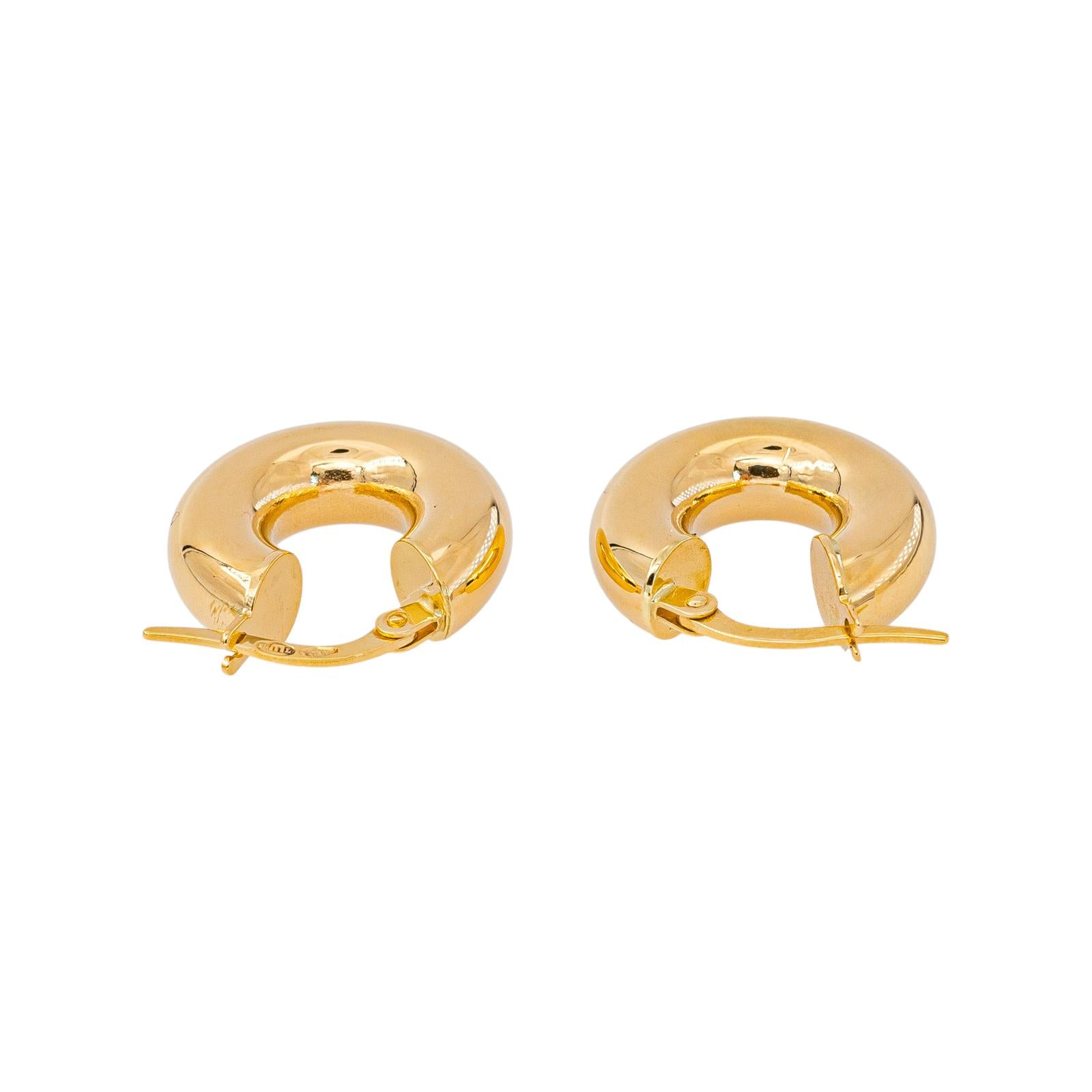 Yellow Gold Hoop Earrings