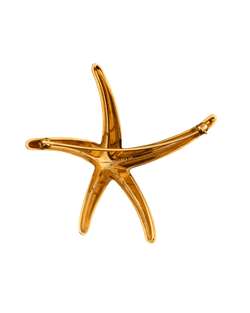 Elsa Peretti pour Tiffany & Co. Broche Etoile de mer en or 18K - Castafiore
