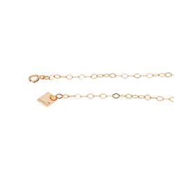 Ginette NY Rose Gold Chain Necklace