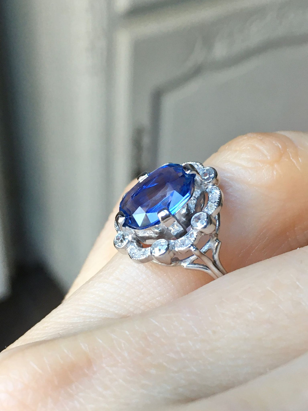 Entourage Ring in white gold, Platinum, Sapphire, and Diamonds