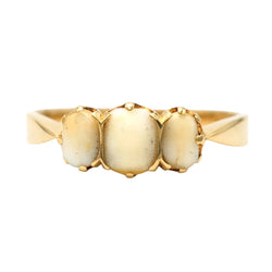Trilogy Ring in Yellow Gold and Teeth