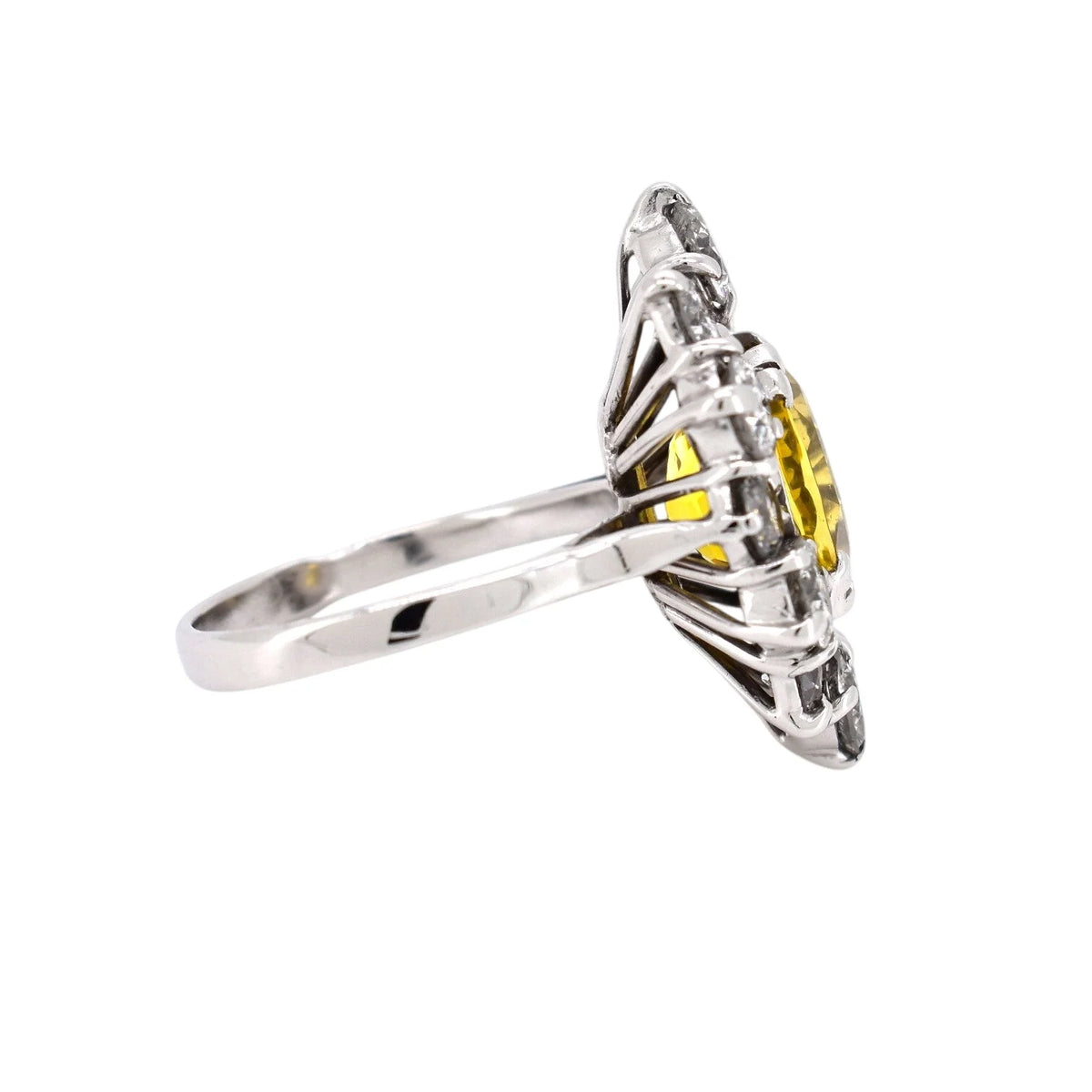 Pompadour Ring in White Gold, Sapphire, and Diamonds