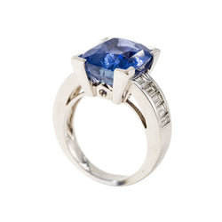 Entourage Ring in white gold, sapphire, and diamonds