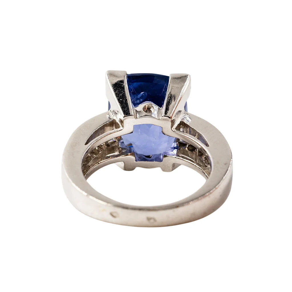 Entourage Ring in white gold, sapphire, and diamonds