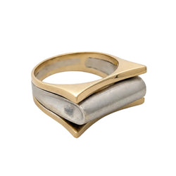 Ring in white gold and yellow gold