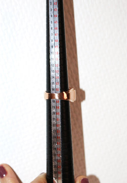 Ruby diamond tank ring