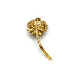 Broche Chardon - Or
