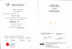 Boucles d'oreilles - Or & Perles fines baroque