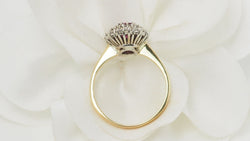 Entourage E Ring in Yellow Gold, Ruby and Diamonds