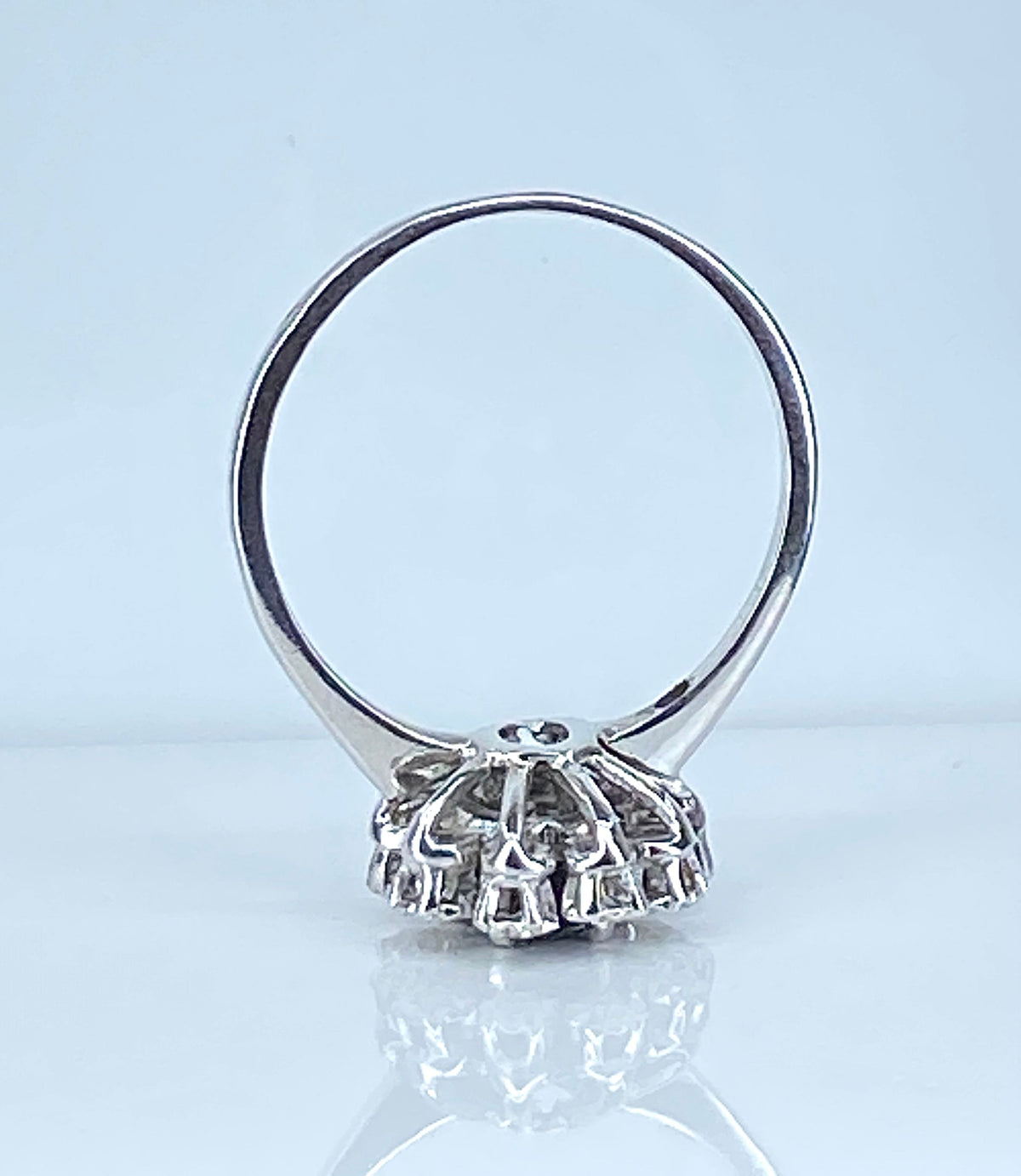 Ring daisy in white gold sapphire and diamonds