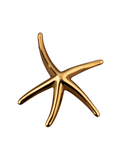 Elsa Peretti pour Tiffany & Co. Broche Etoile de mer en or 18K
