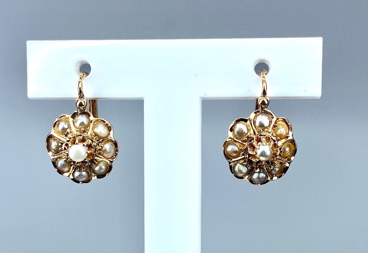 Paire de boucles d’oreilles en or 18 jaune carats serties de perles fines. Vers 1880. - Castafiore