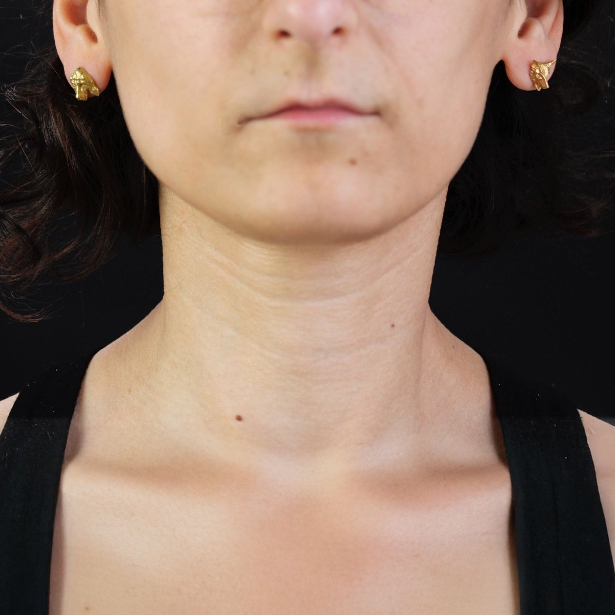 Puces d'oreilles ANCIENNES Renard et chien en or jaune - Castafiore