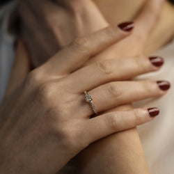 Solitaire Fred "Delphine" en or rose 18K avec diamants brillants – Taille 52 – Full Set 2021 - Castafiore