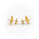 Boucles d'oreilles Puces Or jaune Perle - Castafiore