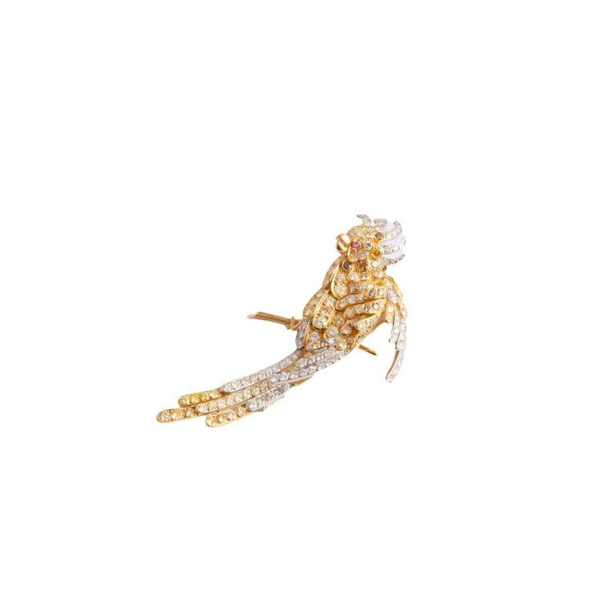 Broche Pendentif perroquet en or jaune, platine et diamants - Castafiore