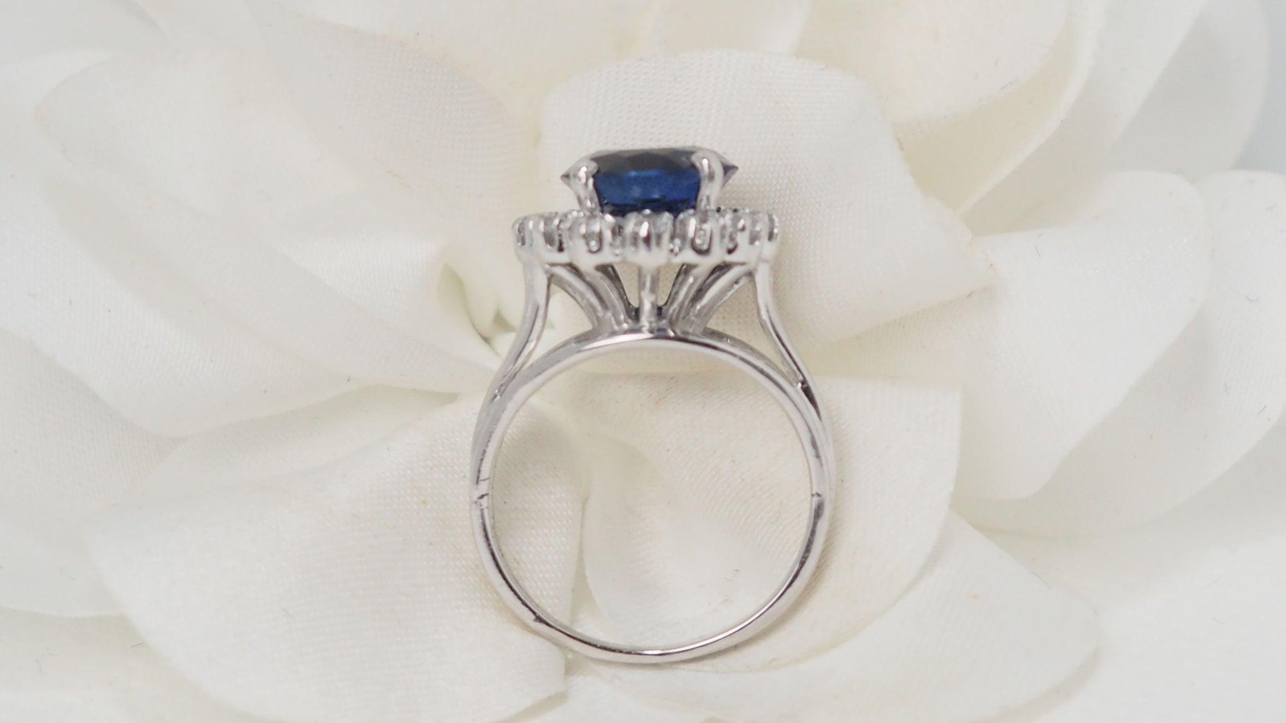 Entourage ring in white gold, sapphire and diamonds 
