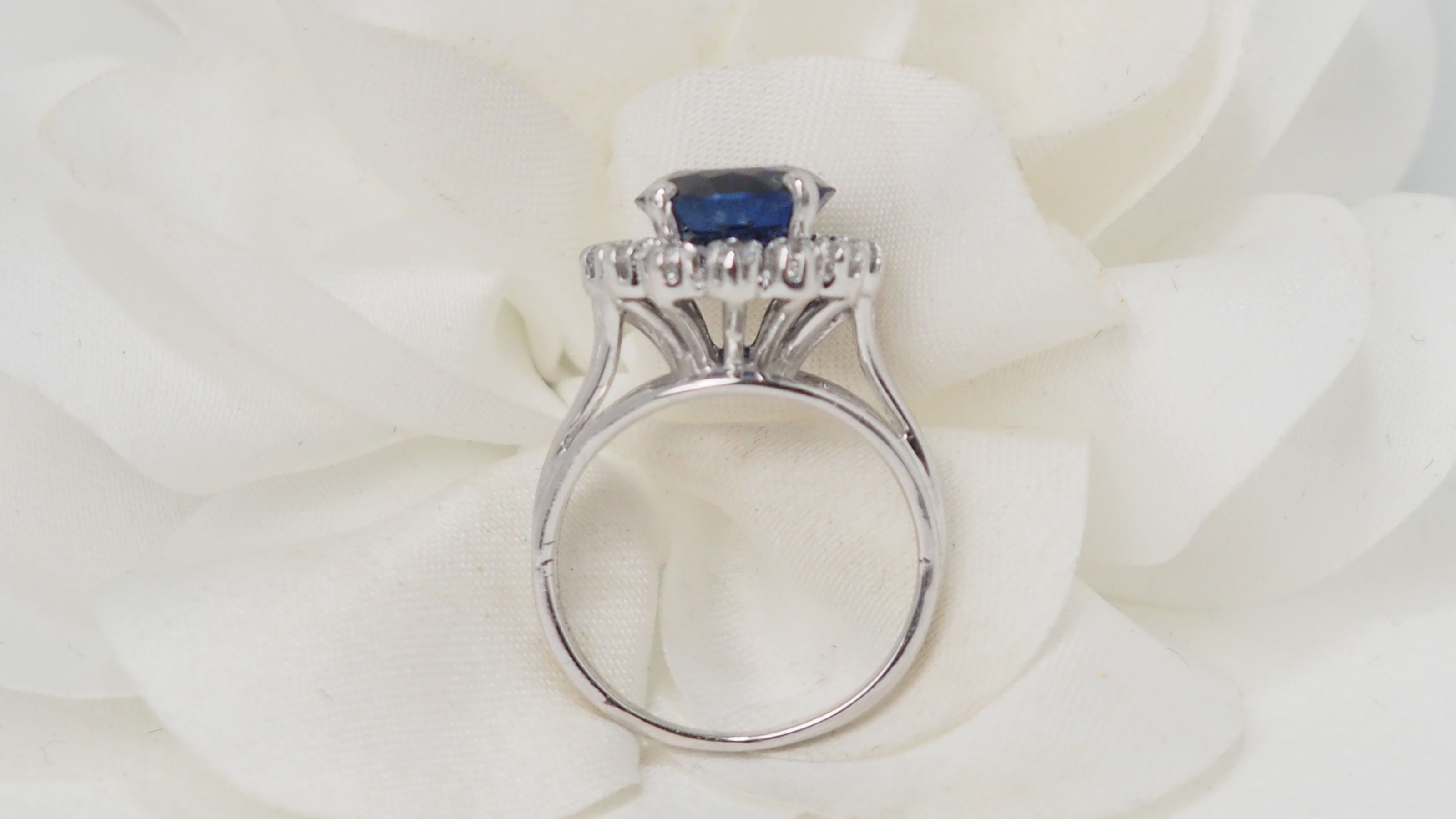 Entourage ring in white gold, sapphire and diamonds 