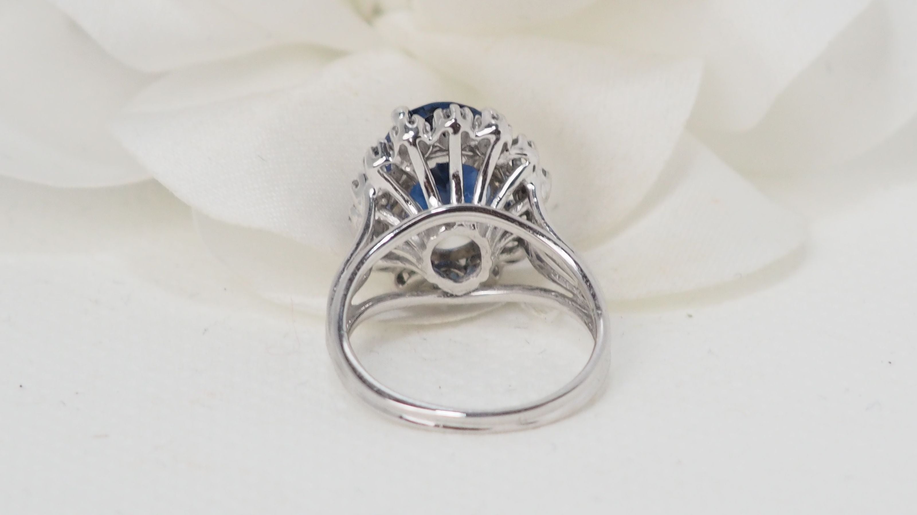 Entourage ring in white gold, sapphire and diamonds 