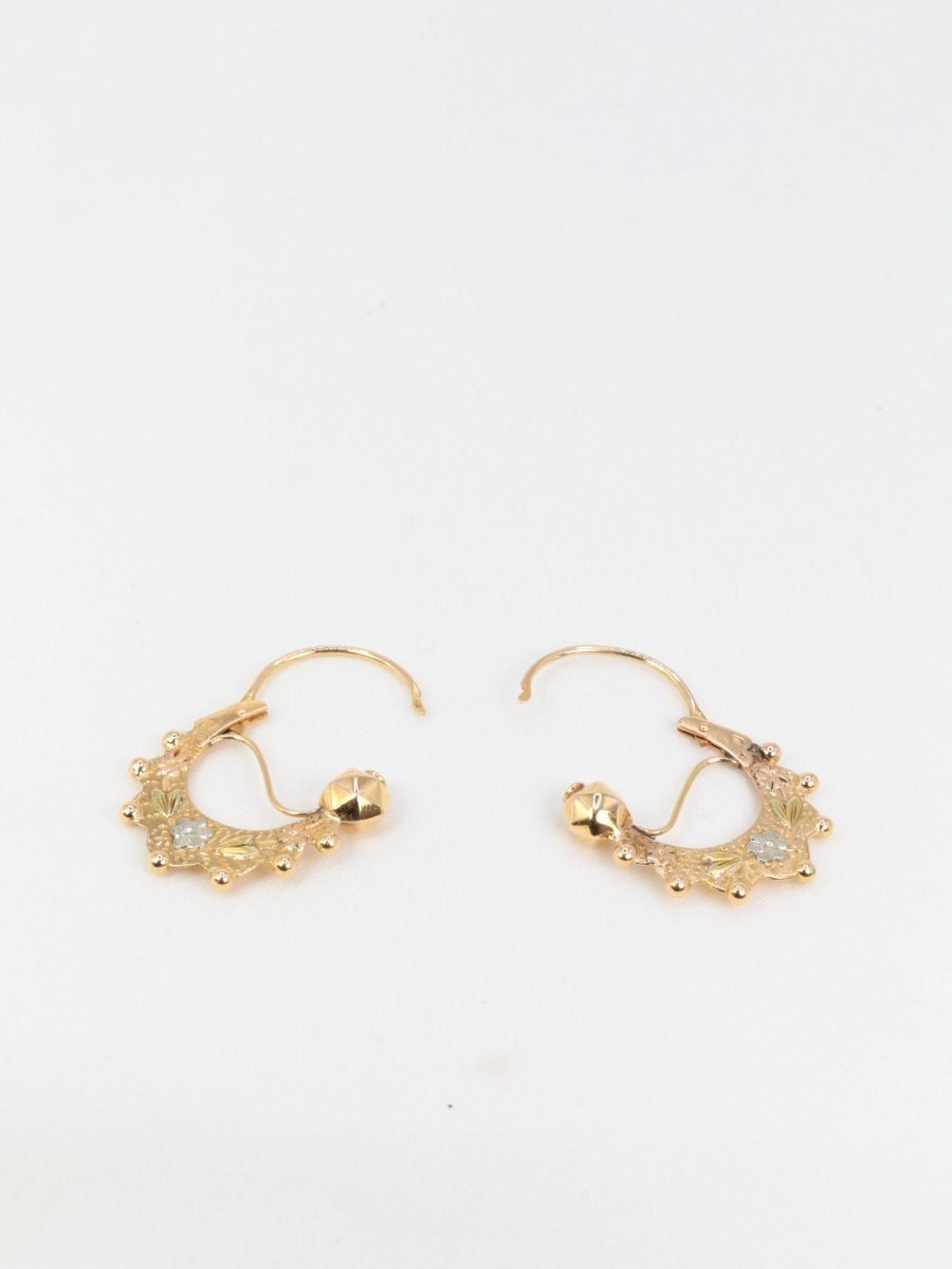 Paire de créoles savoyardes anciennes ou Tarines en or jaune - Castafiore